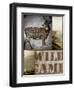 Wild Game-null-Framed Giclee Print