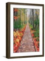 Wild Garden of Acadia Path-Vincent James-Framed Premium Photographic Print