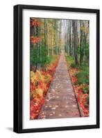 Wild Garden of Acadia Path-Vincent James-Framed Premium Photographic Print