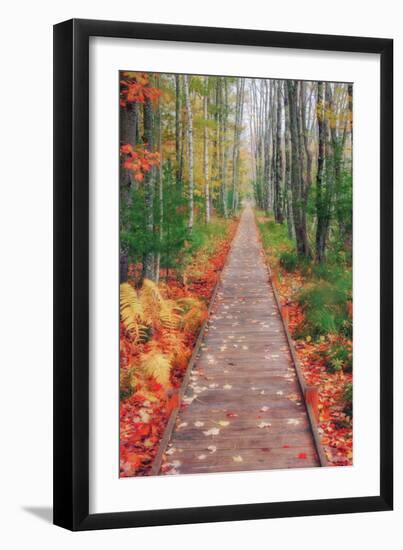 Wild Garden of Acadia Path-Vincent James-Framed Premium Photographic Print