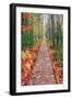 Wild Garden of Acadia Path-Vincent James-Framed Premium Photographic Print