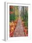 Wild Garden of Acadia Path-Vincent James-Framed Photographic Print