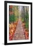 Wild Garden of Acadia Path-Vincent James-Framed Photographic Print