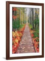 Wild Garden of Acadia Path-Vincent James-Framed Photographic Print