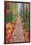 Wild Garden of Acadia Path-Vincent James-Framed Photographic Print