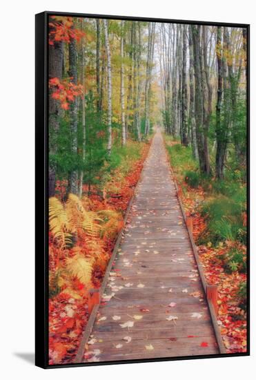 Wild Garden of Acadia Path-Vincent James-Framed Stretched Canvas