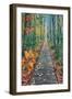 Wild Gardens Path, Acadia National Park, Maine-Vincent James-Framed Photographic Print