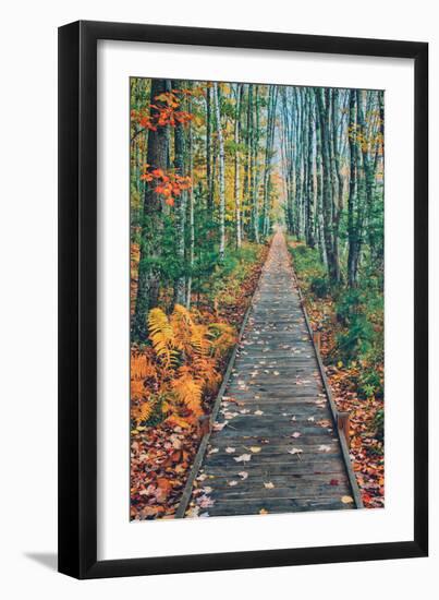 Wild Gardens Path, Acadia National Park, Maine-Vincent James-Framed Photographic Print