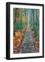 Wild Gardens Path, Acadia National Park, Maine-Vincent James-Framed Photographic Print