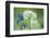 Wild Garlic and Bluebell in Flower, Beech Wood, Hallerbos, Belgium-Biancarelli-Framed Photographic Print