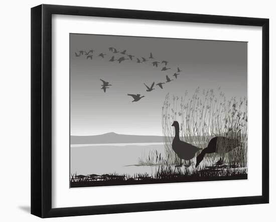 Wild Geese, Delayed Migrating-Gepard-Framed Art Print