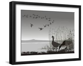 Wild Geese, Delayed Migrating-Gepard-Framed Art Print