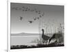 Wild Geese, Delayed Migrating-Gepard-Framed Art Print