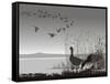 Wild Geese, Delayed Migrating-Gepard-Framed Stretched Canvas