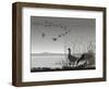 Wild Geese, Delayed Migrating-Gepard-Framed Art Print