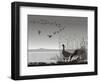 Wild Geese, Delayed Migrating-Gepard-Framed Art Print