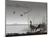 Wild Geese, Delayed Migrating-Gepard-Mounted Art Print