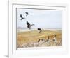 Wild Geese-Allen Friedman-Framed Limited Edition