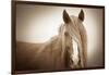 Wild Glow-KaCee Erle-Framed Premium Giclee Print