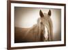 Wild Glow-KaCee Erle-Framed Art Print