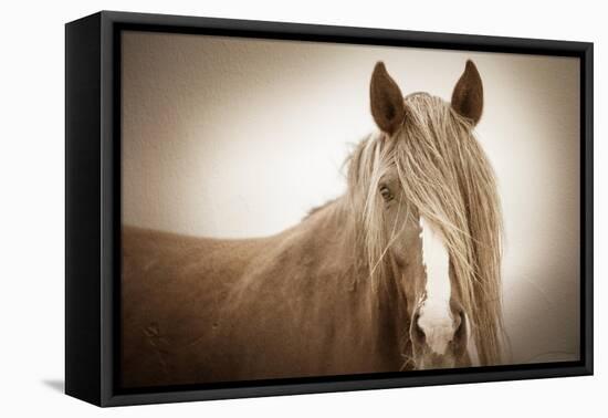 Wild Glow-KaCee Erle-Framed Stretched Canvas
