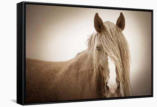 Wild Glow-KaCee Erle-Framed Stretched Canvas