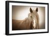 Wild Glow-KaCee Erle-Framed Premium Giclee Print