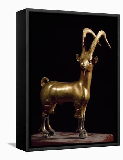 Wild Goat, Campania, Italy Roman Civilization-null-Framed Stretched Canvas