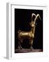 Wild Goat, Campania, Italy Roman Civilization-null-Framed Giclee Print
