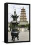 Wild Goose Pagoda (Giant Wild Goose Pagoda), UNESCO World Heritage Site, Xian, Shaanxi, China, Asia-Michael DeFreitas-Framed Stretched Canvas