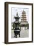 Wild Goose Pagoda (Giant Wild Goose Pagoda), UNESCO World Heritage Site, Xian, Shaanxi, China, Asia-Michael DeFreitas-Framed Photographic Print