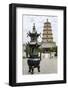 Wild Goose Pagoda (Giant Wild Goose Pagoda), UNESCO World Heritage Site, Xian, Shaanxi, China, Asia-Michael DeFreitas-Framed Photographic Print