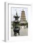 Wild Goose Pagoda (Giant Wild Goose Pagoda), UNESCO World Heritage Site, Xian, Shaanxi, China, Asia-Michael DeFreitas-Framed Photographic Print