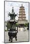 Wild Goose Pagoda (Giant Wild Goose Pagoda), UNESCO World Heritage Site, Xian, Shaanxi, China, Asia-Michael DeFreitas-Mounted Photographic Print