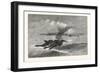 Wild-Goose. Us, USA, America, United States, American, 1880-null-Framed Giclee Print