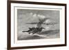 Wild-Goose. Us, USA, America, United States, American, 1880-null-Framed Giclee Print