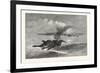 Wild-Goose. Us, USA, America, United States, American, 1880-null-Framed Giclee Print