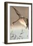 Wild Goose-Koson Ohara-Framed Giclee Print