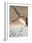 Wild Goose-Koson Ohara-Framed Giclee Print