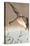 Wild Goose-Koson Ohara-Stretched Canvas