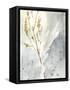 Wild Grass II-Jennifer Goldberger-Framed Stretched Canvas