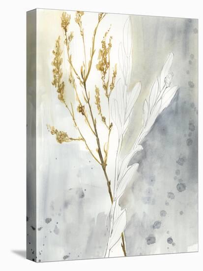 Wild Grass II-Jennifer Goldberger-Stretched Canvas