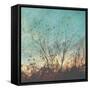 Wild Grass II-Amy Melious-Framed Stretched Canvas