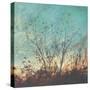 Wild Grass II-Amy Melious-Stretched Canvas