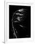 Wild Grass Seed Heads, X-ray-Koetsier Albert-Framed Photographic Print