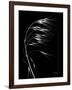 Wild Grass Seed Heads, X-ray-Koetsier Albert-Framed Photographic Print