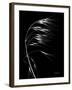 Wild Grass Seed Heads, X-ray-Koetsier Albert-Framed Photographic Print