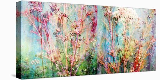 Wild Grasses Layered with Flower Colors-Alaya Gadeh-Stretched Canvas