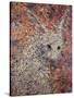 Wild Hare-James W. Johnson-Stretched Canvas