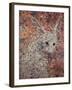 Wild Hare-James W. Johnson-Framed Giclee Print